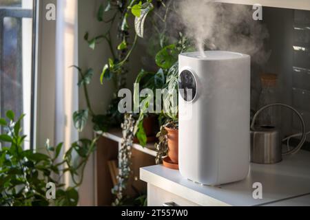 Vapore dall'umidificatore, inumidisce l'aria secca circondata da piante  domestiche interne. Giardino domestico, cura delle piante Foto stock - Alamy