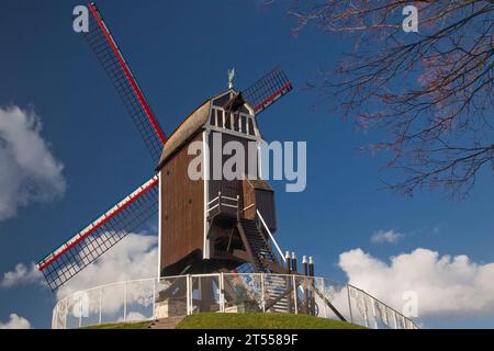 Il mulino a vento St Janhuismolen a Bruges Foto Stock