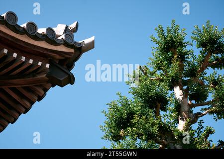 Dettaglio di un tempio a Nagoya, Giappone Foto Stock