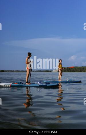 Amici che si divertono sul lago della foresta, cavalcando tavole da SUP. paddleboard. Foto Stock