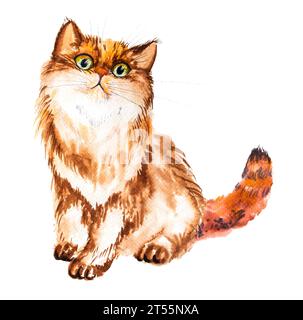Illustrazione ad acquerello di un gatto pazzo rosso soffice, disegnato a mano. Foto Stock