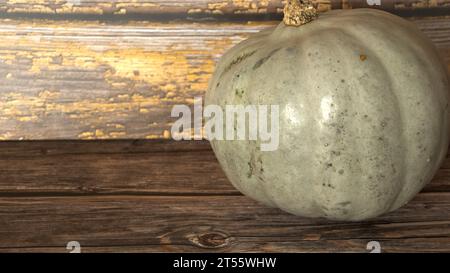 selezione di diverse zucche, zucca fantasma, oran d gnarly Foto Stock