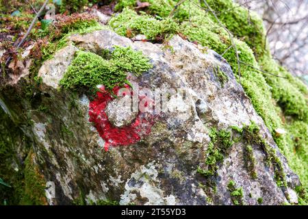 Grande segnavia rosso sulla pietra con muschio nella foresta. Passeggiate, attività sportive e tema naturalistico Foto Stock