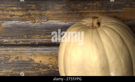 selezione di diverse zucche, zucca fantasma, oran d gnarly Foto Stock