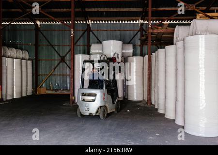 Rotoli di carta riciclata nel magazzino. Foto Stock