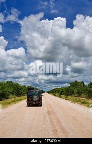 Auto a quattro ruote motrici (Landrover) su strada sterrata vicino a Maroelaboom nel nord della Namibia, terreni agricoli, regione di Otjozondjupa, Namibia Foto Stock