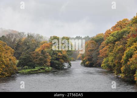 Le rive alberate del fiume Tees alla periferia di Barnard Castle in un nebbioso giorno autunnale, Barnard Castle, County Durham, Regno Unito Foto Stock