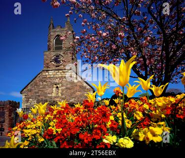 Spring Flowers at the Old Priory, Holywood, County Down, Irlanda del Nord Foto Stock