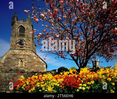 Spring Flowers at the Old Priory, Holywood, County Down, Irlanda del Nord Foto Stock