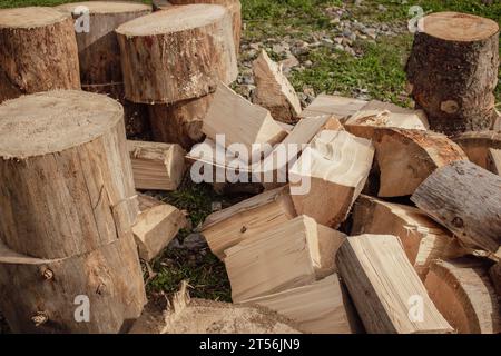 Pila di legna da ardere. Tronco di legno e tronchi su erba verde. Sfondo Woodpile. Legno impilato. Struttura in legno. Memorizzazione registrazione. Sfondo Harwood. Foto Stock