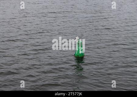 Gabbiano su una boa verde nel Greifswalder Bodden al largo di Rügen Foto Stock