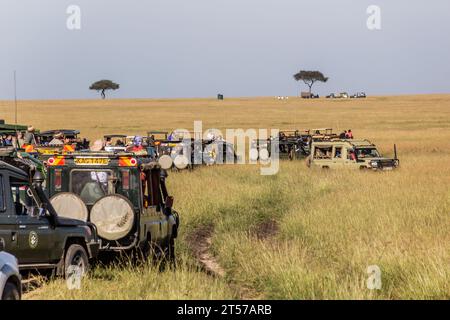 MASAI MARA, KENYA - 19 FEBBRAIO 2020: Safari Vehicles nella riserva nazionale di Masai Mara, Kenya Foto Stock