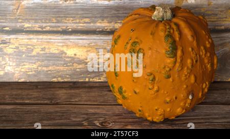 selezione di diverse zucche, zucca fantasma, oran d gnarly Foto Stock