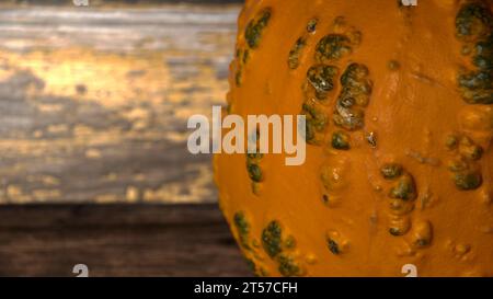 selezione di diverse zucche, zucca fantasma, oran d gnarly Foto Stock