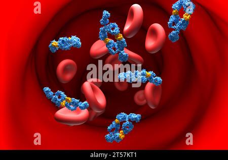Anticorpi monoclonali (adalimumab) - Vista in sezione illustrazione 3d. Foto Stock