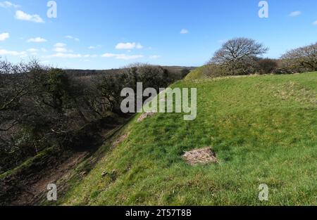 Ripidi pendii del castello di Kilkhampton, conosciuto anche come Castello di Penstowe, forte medievale di Motte e costruzione Bailey costruita su un knoll protetto da ripide s Foto Stock