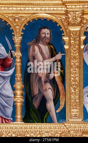 S. Giovanni Battista, particolare dal Polittico con Madonna col bambino,Cristo risorto e Santi - olio su tavola - Andrea Previtali e Agostino Facheris Foto Stock