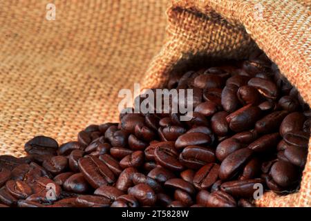 Chicchi di caffè secchi appena sfornati sullo sfondo Foto Stock