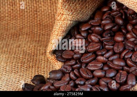 Chicchi di caffè secchi appena sfornati sullo sfondo Foto Stock