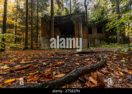 Misterioso Włodarz Adit, complesso di Riese nella bassa Slesia. Tunnel sotterranei della città di Osowka scavati dai tedeschi durante la seconda guerra mondiale Adolf Hitler Foto Stock