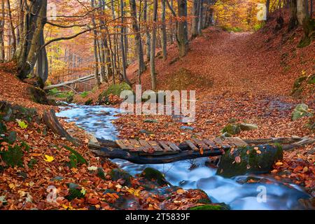 Immergiti nella serenità dell'autunno mentre incontri una pittoresca scena forestale. Un piccolo ruscello di montagna si snoda graziosamente attraverso il vibrano Foto Stock