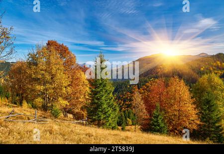 Immergiti nella serenata dorata dell'autunno mentre ammiri le maestose Cime dei Carpazi adornate dalla vibrante tavolozza della natura. L'aria è fille Foto Stock