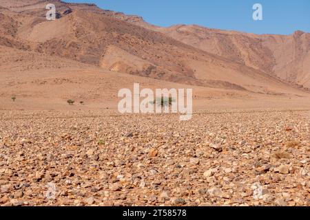 Deserto di pietra a sud di Maroc Foto Stock