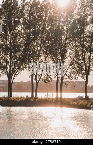 Momento romantico di una giovane coppia che si è incontrata dopo un lungo periodo di tempo durante un tramonto nel parco e sente amore e gioia dalla riunione. Almere, Paesi Bassi. Foto Stock