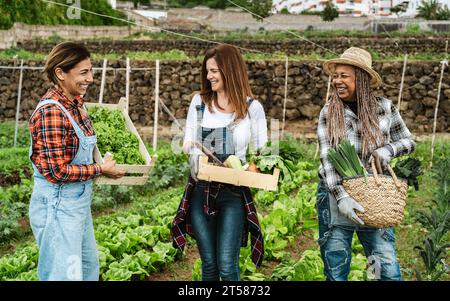 Felici femmine multirazziali agricoltori che lavorano in terreni agricoli - concetto di stile di vita per i contadini Foto Stock