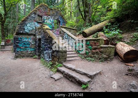 Lower Macleay Trail nel Forest Park di Portland, Oregon. Foto Stock