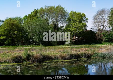 Crookham Park, Fleet, Hampshire Foto Stock