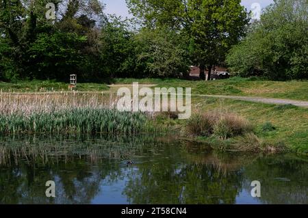 Crookham Park, Fleet, Hampshire Foto Stock