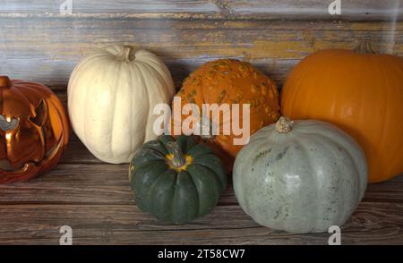 selezione di diverse zucche, zucca fantasma, oran d gnarly Foto Stock