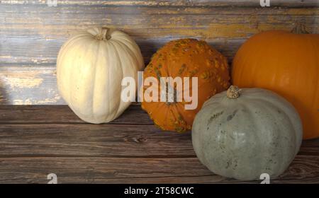 selezione di diverse zucche, zucca fantasma, oran d gnarly Foto Stock