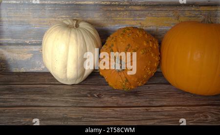 selezione di diverse zucche, zucca fantasma, oran d gnarly Foto Stock