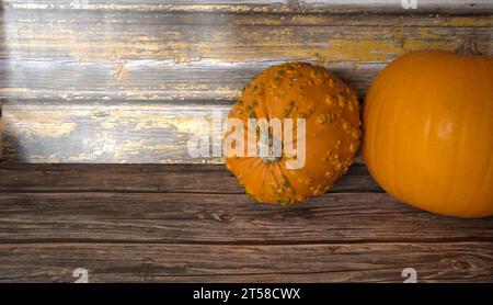 selezione di diverse zucche, zucca fantasma, oran d gnarly Foto Stock