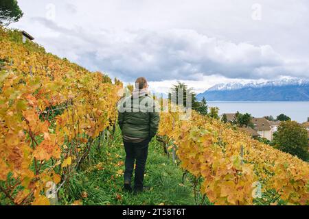 Immagine retrovisiva dell'uomo che cammina nei vigneti autunnali, stile di vita attivo e salutare Foto Stock