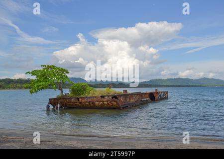 La barca si è arenata sulla spiaggia di Puerto Viejo, Costa Rica. Gli alberi e le piante sono cresciuti ed è utilizzato dai pescatori. Foto Stock