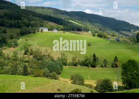 Campagna a Vogezen, Francia Foto Stock