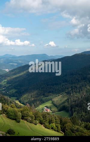 Campagna a Vogezen, Francia Foto Stock