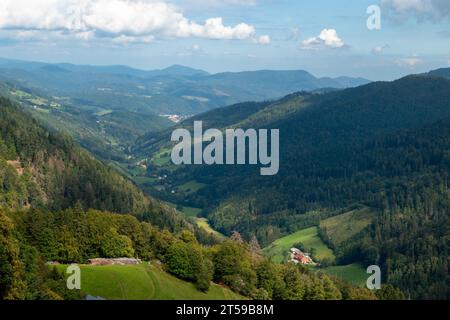 Campagna a Vogezen, Francia Foto Stock