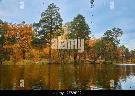 Pittoresco paesaggio autunnale con alberi gialli sul fiume e riflesso di alberi in acqua in una giornata di sole. Autunno dorato Foto Stock