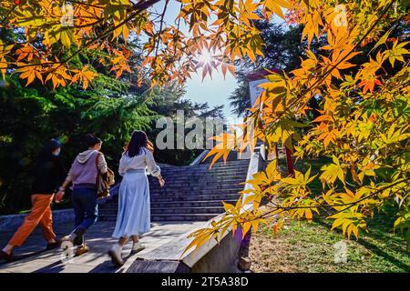 Pechino, provincia cinese di Shandong. 1 novembre 2023. Le persone visitano il Parco Fangongting nella città di Qingzhou, nella provincia orientale dello Shandong della Cina, 1 novembre 2023. Crediti: Wang Jilin/Xinhua/Alamy Live News Foto Stock