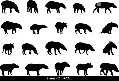 Sagome tapir, silhouette tapir malese, set vettoriale tapir, SVG tapir, set di animali tapir Illustrazione Vettoriale