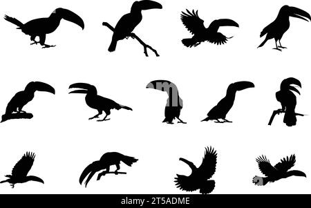 Silhouette Toucan, silhouette Toucan Bird, silhouette Flying toucan, Toucan SVG, clipart Toucan toco Illustrazione Vettoriale