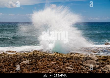 Blowhole sulla spiaggia di Grand Cayman, Isole Cayman Foto Stock