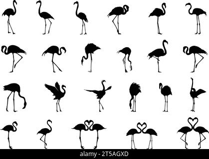 Silhouette Flamingo, silhouette Flamingo Bird, Flamingo svg, illustrazione vettoriale Flamingo, clipart Flamingo, icona dell'uccello di fenicottero Illustrazione Vettoriale