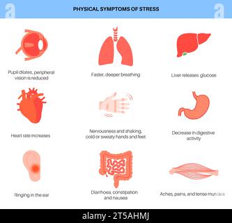 Risposta allo stress, illustrazione Foto Stock