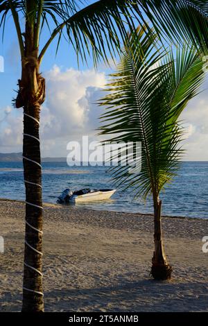 Isola di Preskil, Mauritius - ottobre 25 2023: Spiaggia sull'isola di Preskil vicino a Pointe d'Esny con palme la mattina presto Foto Stock