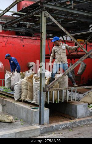 Bois Cheri, Mauritius - 18 ottobre 2023: Lavoratore presso la fabbrica di tè Bois Cheri che gestisce sacchi pieni di foglie di tè. Foto Stock